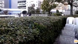 精品综合欧美一区二区三区,成人视频高清免费观看